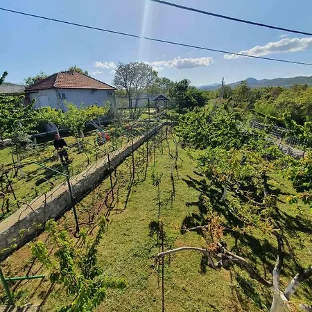 House Pejovic