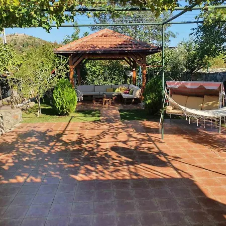 House Pejovic Podgorica