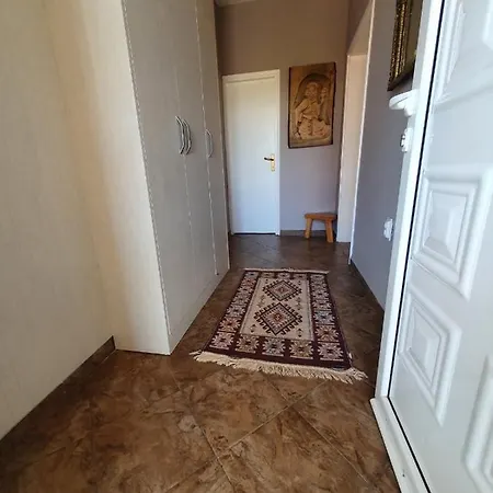 House Pejovic Villa *