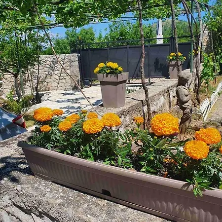 House Pejovic Villa *