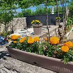 House Pejovic Вілла *