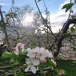 فيلة House Pejovic *