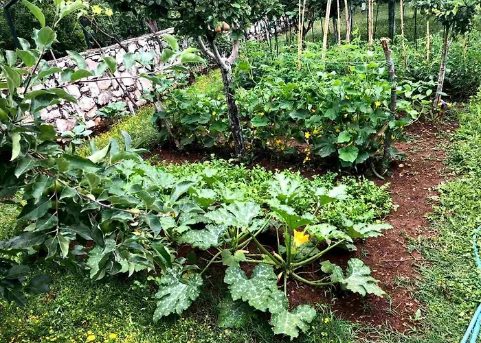 House Pejovic * Подгориця