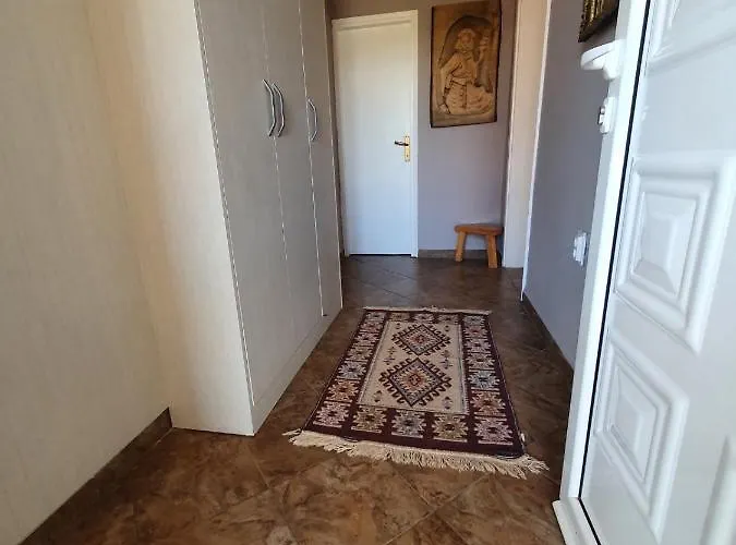 House Pejovic Villa *