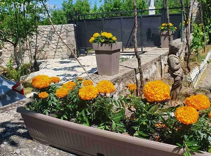 House Pejovic Вілла *